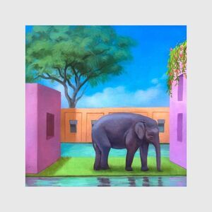 Korea Town Acid - Elephant In The Room  CD